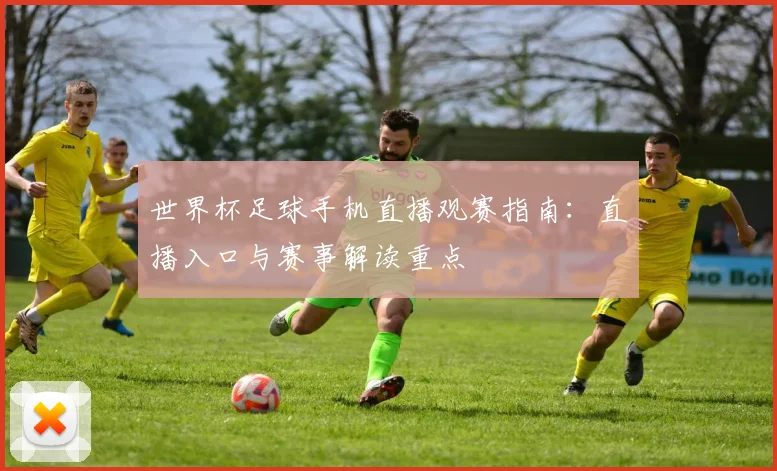世界杯足球手机直播观赛指南：直播入口与赛事解读重点