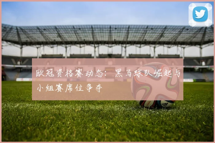 欧冠资格赛动态：黑马球队崛起与小组赛席位争夺